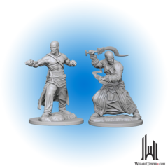 Pathfinder Deep Cuts Unpainted Miniatures: Human Male Monk